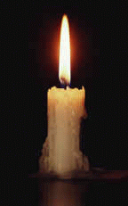 {short description of image}